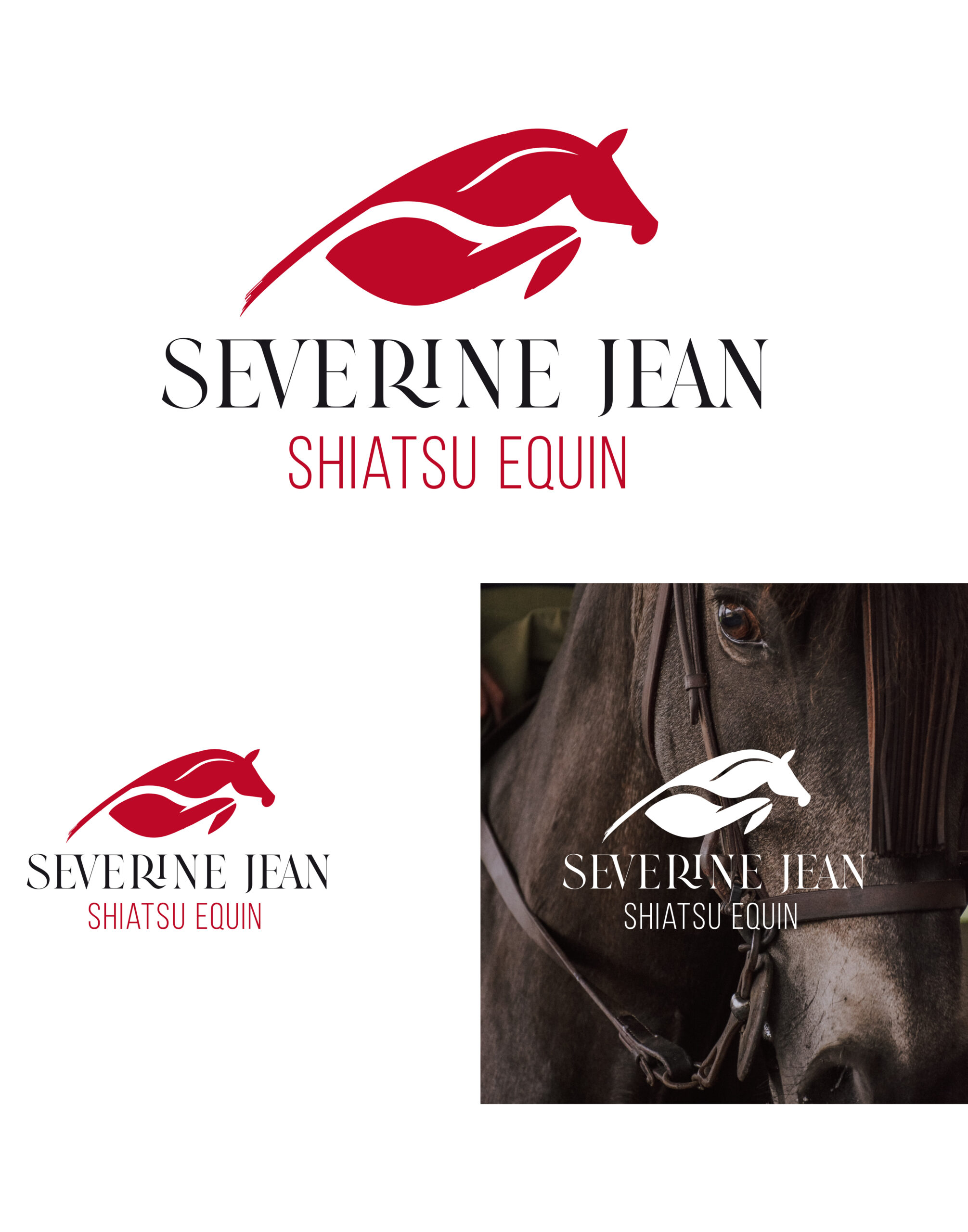 CREA 2 LOGO_shiatsu equin