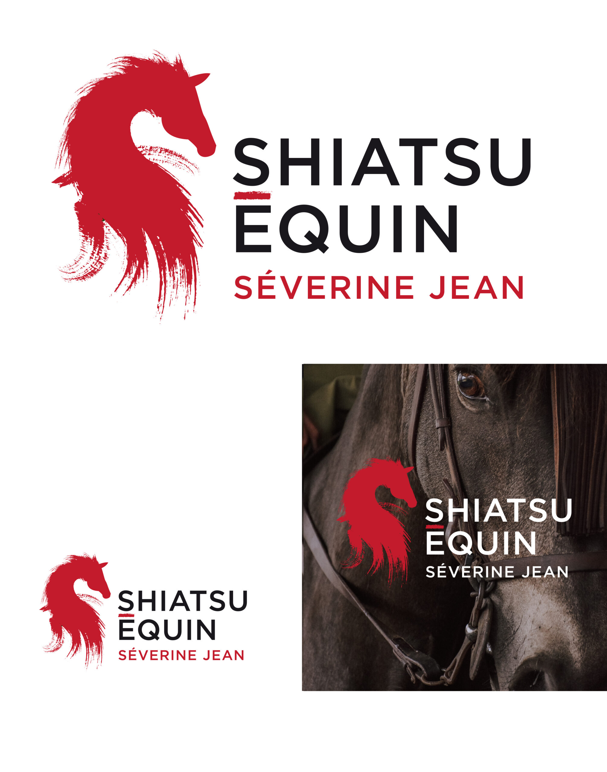 CREA 2 LOGO_shiatsu equin