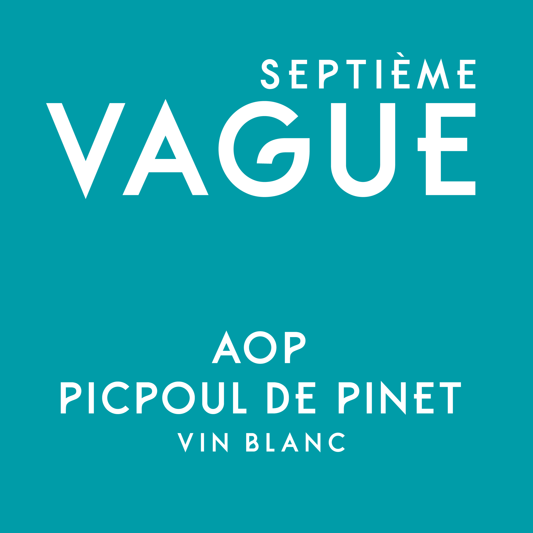 PROJET_CASTIL-VIN-09 identité visuelle logo septième vague