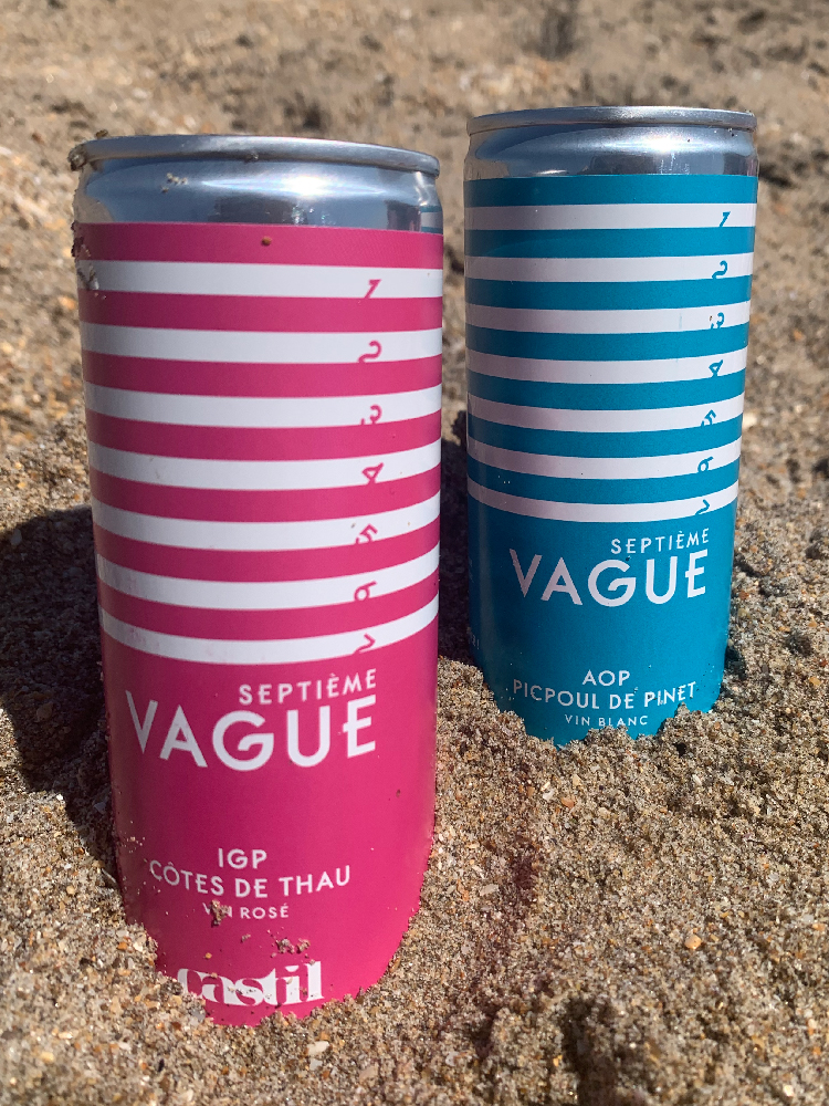 CANETTE À LA PLAGE_SEPTIEME VAGUE