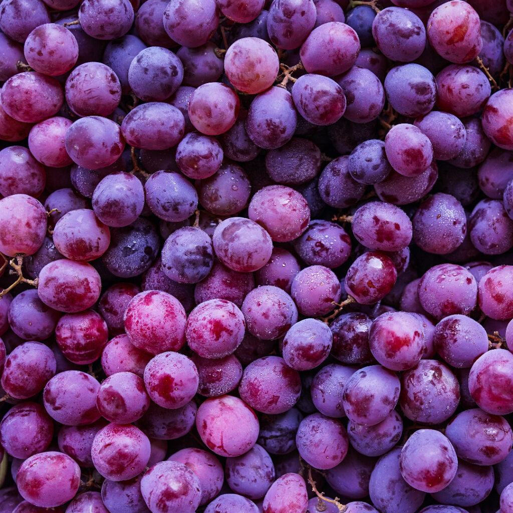 raisin