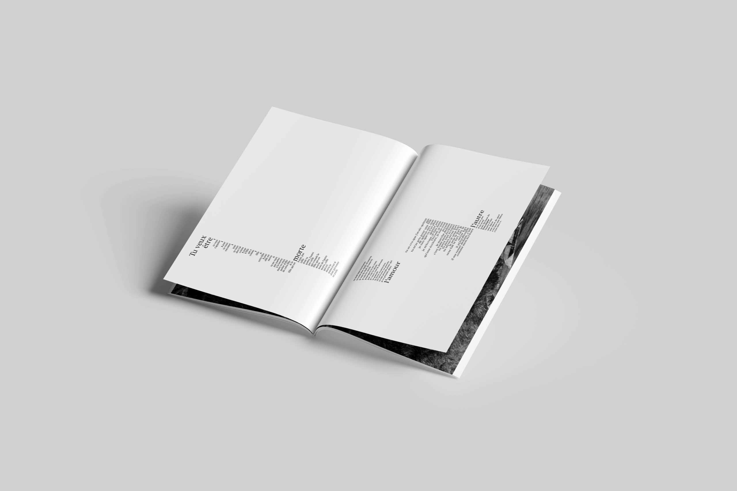 INTERIEUR PAYSAGE TEXTE 1 copie intro livre artiste " des blocs et des coulées