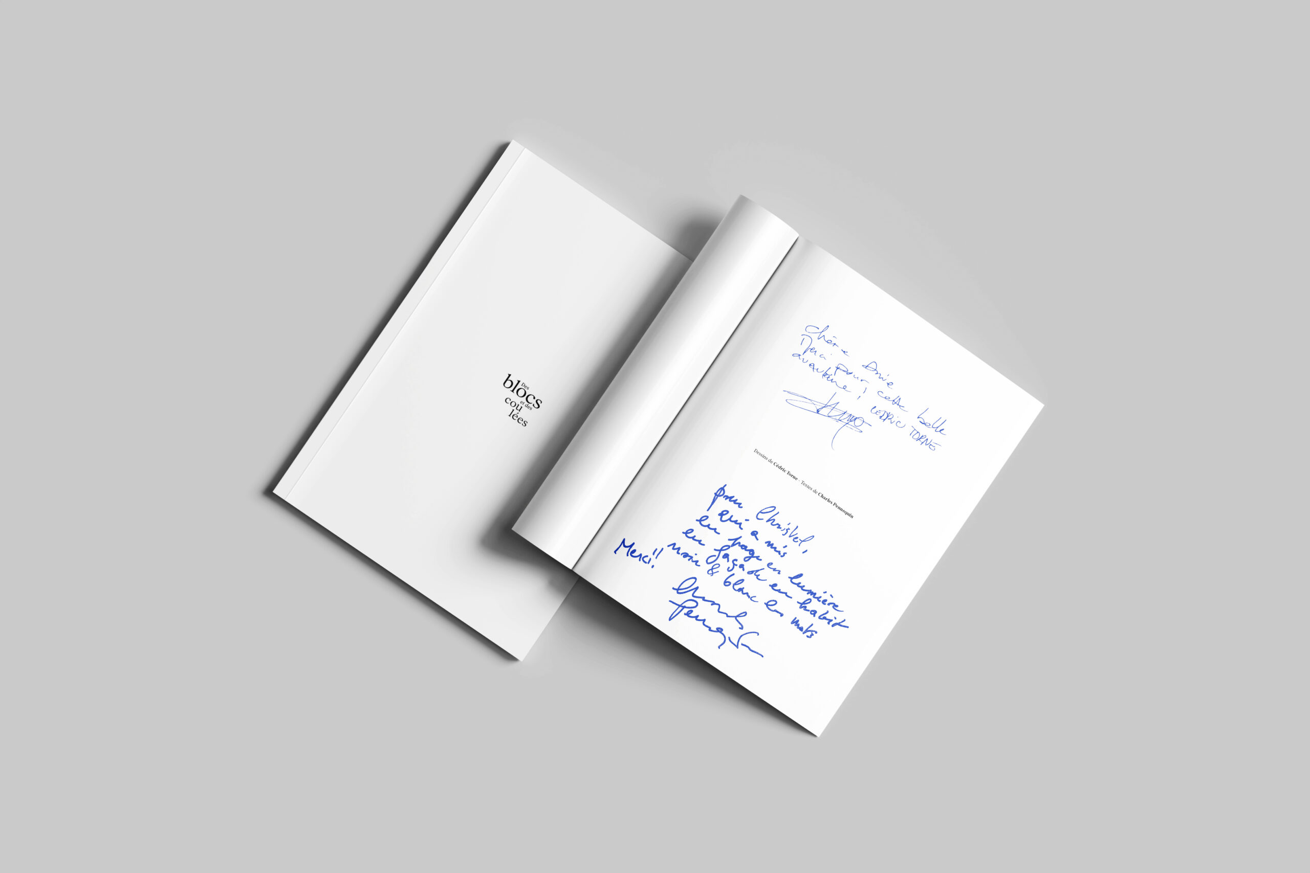 chap.intro intro livre artiste " des blocs et des coulées
